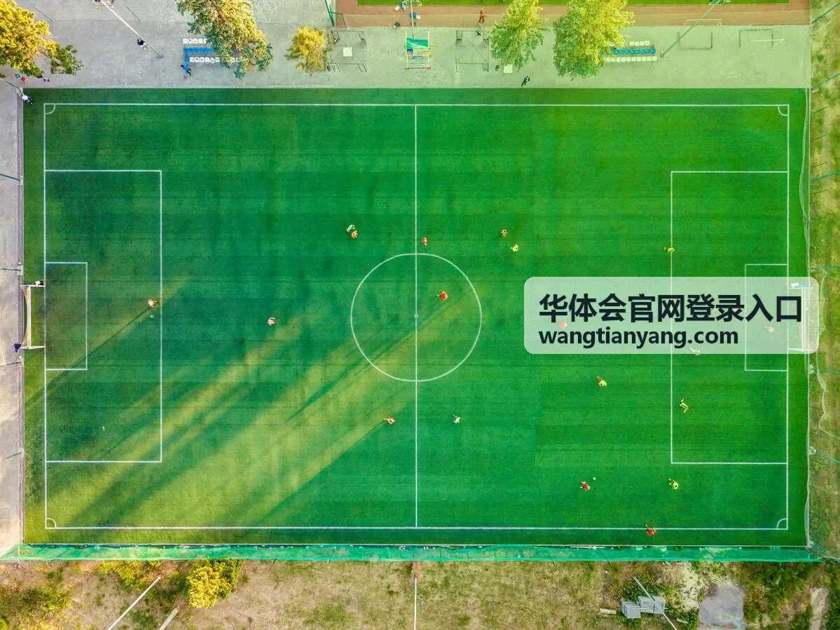 华体会官网登录入口账号信息与安全验证示意