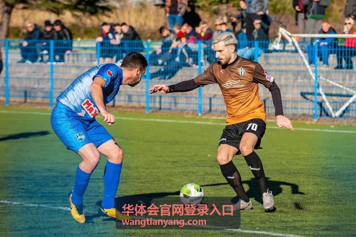 华体会官网登录入口设备与网络环境检查示意