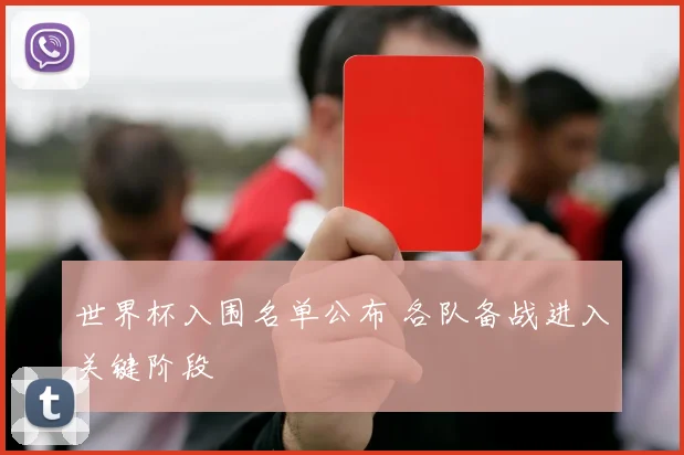 世界杯入围名单公布 各队备战进入关键阶段