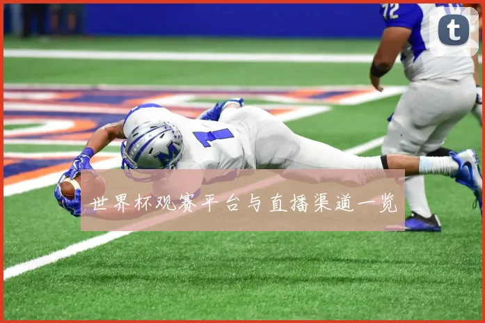 世界杯观赛平台与直播渠道一览