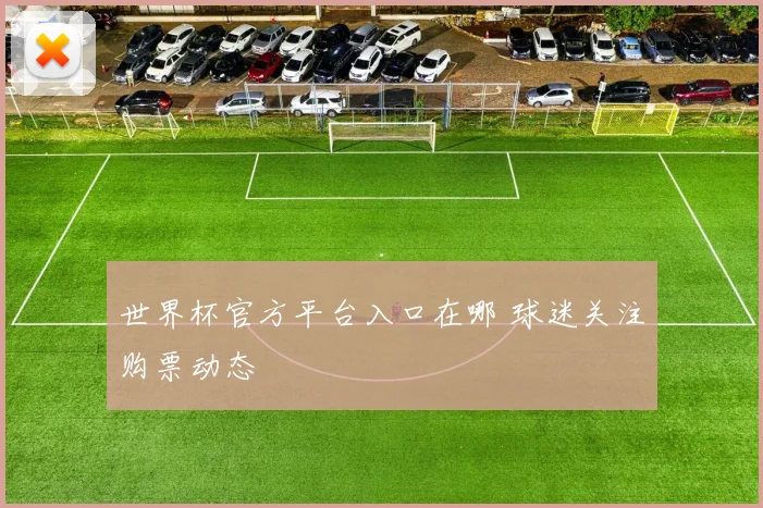 世界杯官方平台入口在哪 球迷关注购票动态