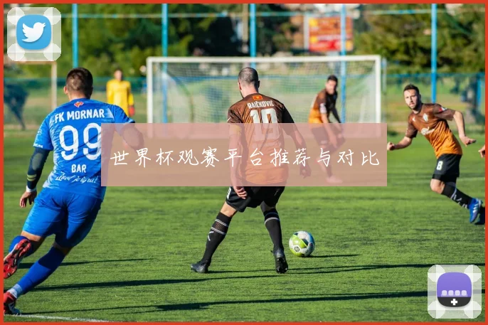 世界杯观赛平台推荐与对比