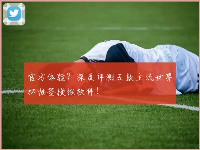 官方体验?深度评测五款主流世界杯抽签模拟软件!
