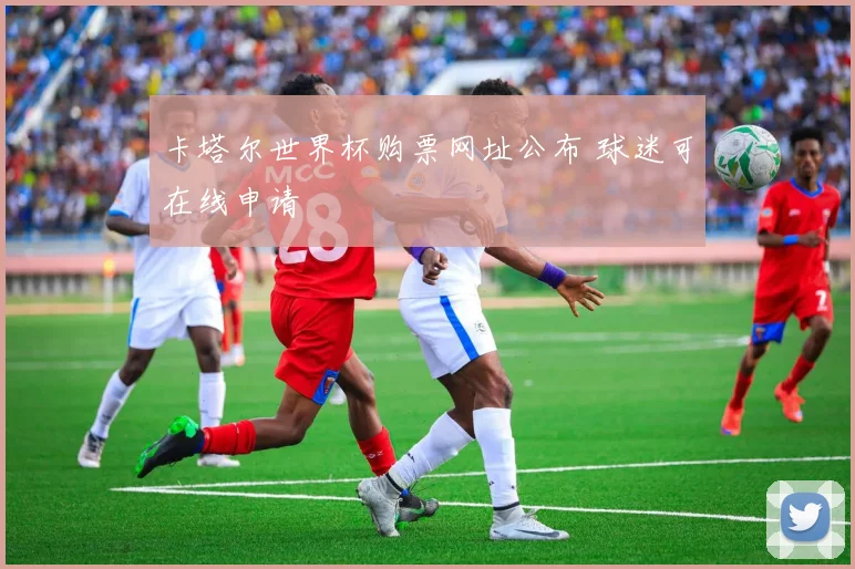 卡塔尔世界杯购票网址公布 球迷可在线申请