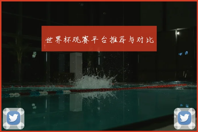 世界杯观赛平台推荐与对比