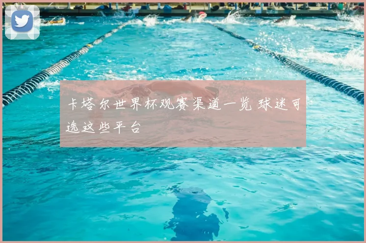 卡塔尔世界杯观赛渠道一览 球迷可选这些平台