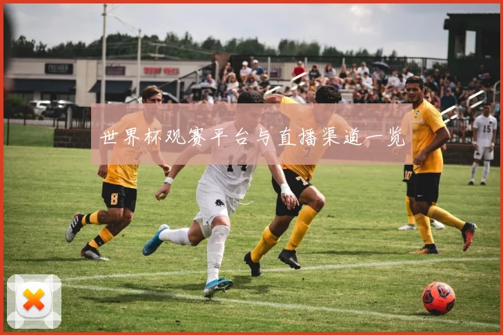 世界杯观赛平台与直播渠道一览